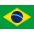 Living with NETs Brazil flag